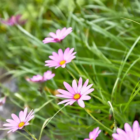 Howgills Prázdninový dům