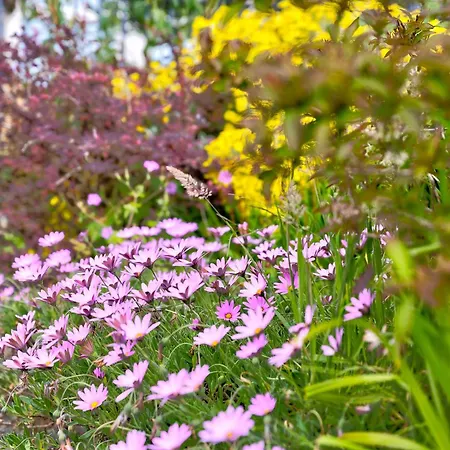 Tatil Evi Howgills *